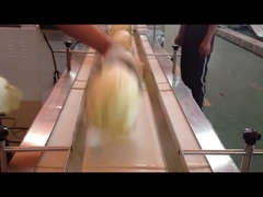 수평 유동 팩 기계