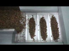 공장도 가격 건포도 곤포기, 핵심 곤포기, 말린 레드 데이트 곤포기