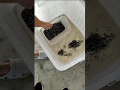 시청: LC-M4H 곡물 색상 선별기 미네랄 CCD 색상 선별기 쇼케이스