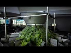 호박씨 사전 제작 백 포장 기계 지퍼 파우치 계량 및 포장 기계를 선택해야 하는 이유를 알아보세요