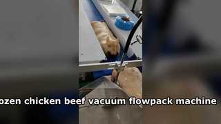 냉동 닭고기, 쇠고기 및 돼지고기 진공 베개 포장기 흐름 팩 포장 기계를 쉽게 작동하십시오.